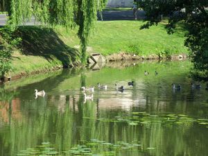 Ballade sur les bords de l'Yerres2