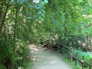 Ballade sur les bords de l'Yerres28