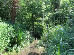 Ballade sur les bords de l'Yerres5