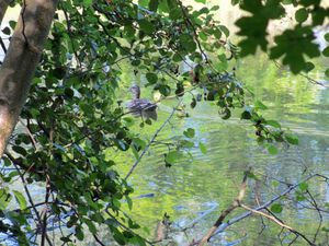 Ballade sur les bords de l'Yerres8