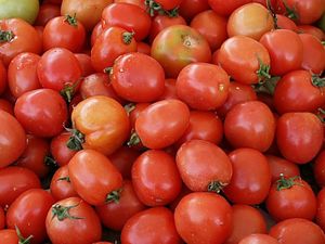 tomates (1)
