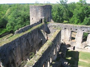Chateau de Villandraut 2