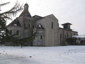 IMG_8596.JPG