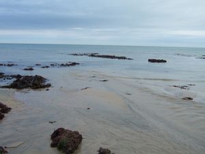 DSCF6322
