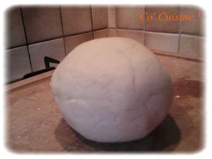 pâte à pizza avant repos (5)