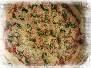 1 pizza jambon, poivron vert, emmental et parmesan-copie-2