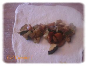 naans fourrés aux carottes et courgettes au lait -copie-2