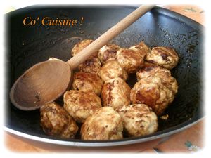 boulettes de poulet à la japonaise (3)