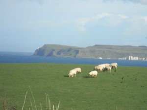 IRLANDE 149
