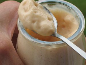 mousse-fruits3.JPG