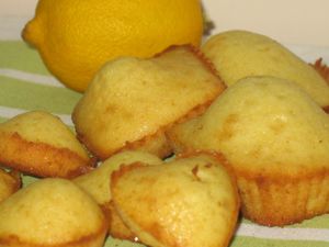 madeleines formes6