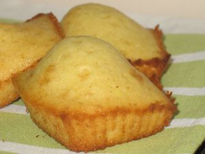 madeleines formes7