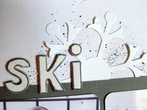 ski détail 1