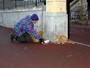 Protection animale 1