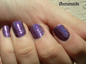 IMGP2586