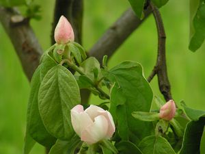 PICT0064