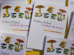 Avril-2012--Couleur-de-rocou-029.jpg