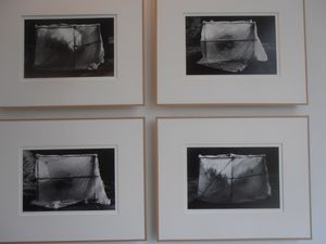 Oct.-2012--Vercors--expo-Gaudu-017.jpg