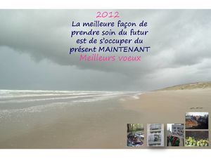 Voeux 2012 jpeg mer