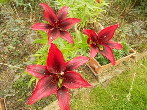 DSCN0595