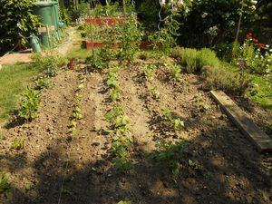 ens potager