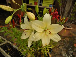 DSCN1832.JPG
