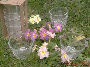 verrine2