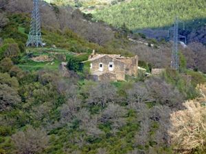 CELIGUETA-18-04-2013--3--1--800x600-.jpg