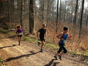 Soultzerkopf2014-3
