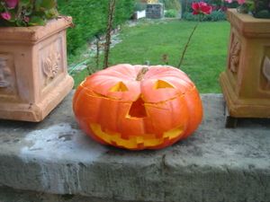 DSC01328.JPG