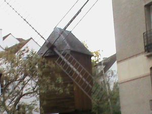 DSC00225