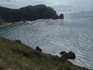 DSC00886.JPG