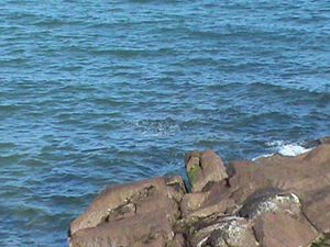 DSC00897.JPG