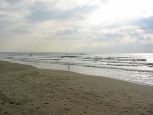 les-4-jours-du-sud-011.jpg