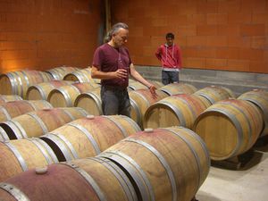 Geobiologie vin de Bordeaux biodynamie