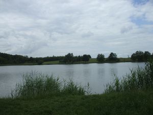 DSCF4493.JPG