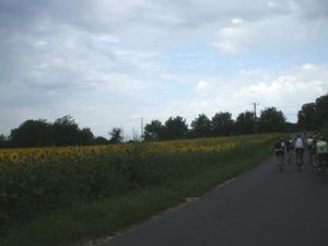 DSCF4973_1.jpg
