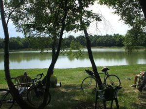 DSCF5006.JPG