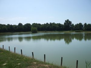 DSCF5009.JPG