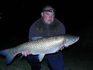 fish4