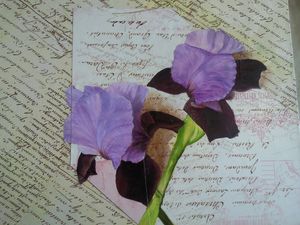 Iris peint à l'huile sur collage papier riz et scrapbookin