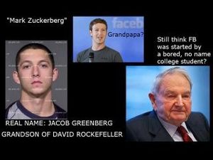 zucker.jpg