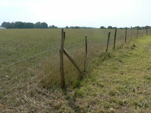 13.8 JMM clôtures grillage