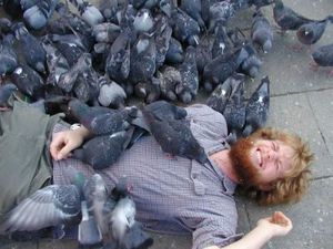 pigeons-massacreurs--de-hithcok.jpg