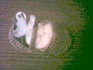 IMG0507A.jpg