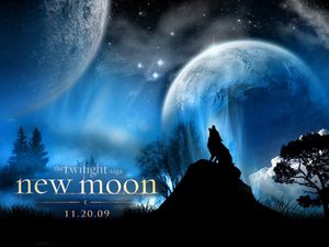 The-Twilight-saga-New-Moon-twilight-series-4882955-800-600.jpg