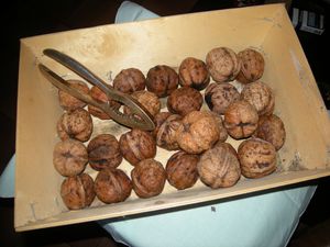 Noix fraiches (1)