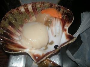 Coquilles-St-jacques---5-.JPG