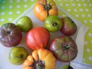 Tomates-varies-Burrata-pesto---3-.JPG