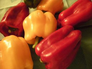 Poivrons (3)